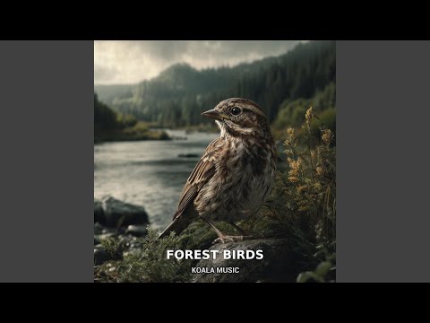 Forest Birds’ Song with Nature’s Tranquility, Pt.8