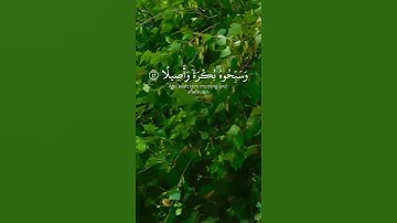 {يا أيها الذين آمنوا اذكروا الله ذكرا كثيرا} | تلاوة خاشعة | ياسر الدوسري | سورة الأحزاب