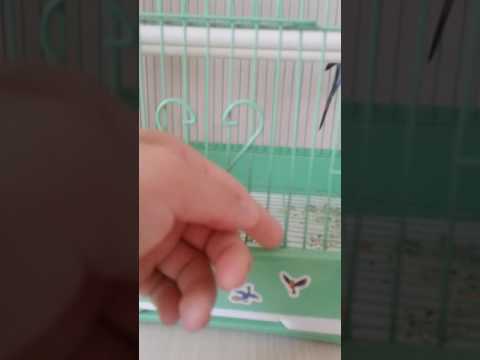 Что делать если попугай не пьёт воду из поиски? ?....