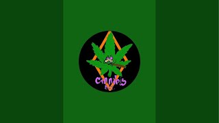 Cannabis Ect is live! @ HONEY MOON ISLAND 🏝️