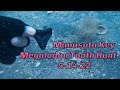 Manasota Key Megalodon tooth hunt 5-14-22