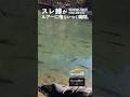 スレた大型魚がルアーに喰らいつく瞬間。 #エリアトラウト #エリアミノーイング #fishing
