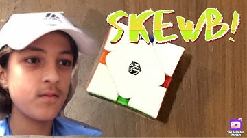 Skewb STOP MOTION!!