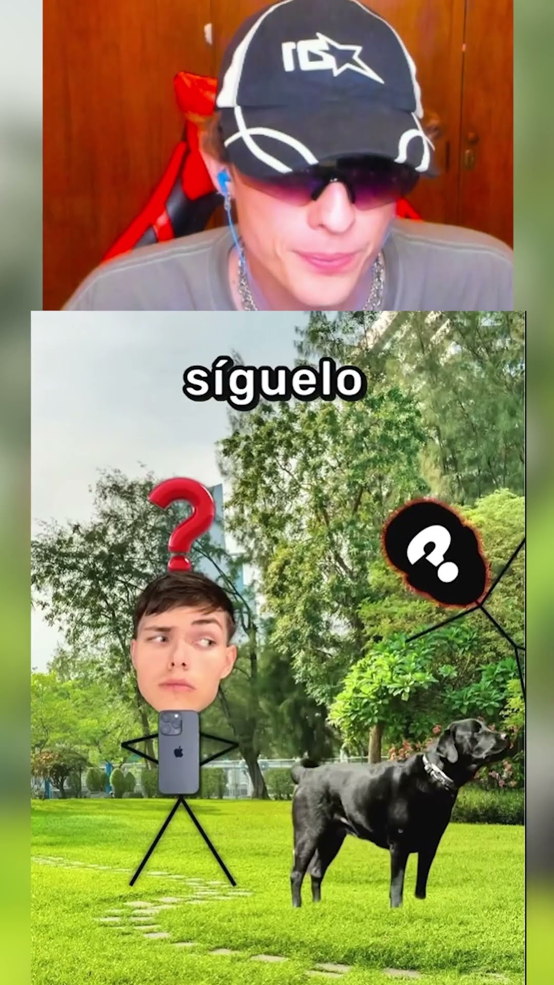 Como SALVARTE de una PERSECUCIÓN?❓@BigDanBabymp4
