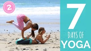 Day 2 7 Day Yoga Challenge Yoga For Beginners