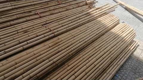 địa chỉ bán cây trúc cây tre làm nhà 0905705929