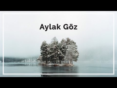 Cahit Zarifoğlu | Aylak Göz