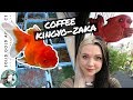 TOKYO GOLDFISH CAFE // Japan Goldfish Trip: Ep. 6