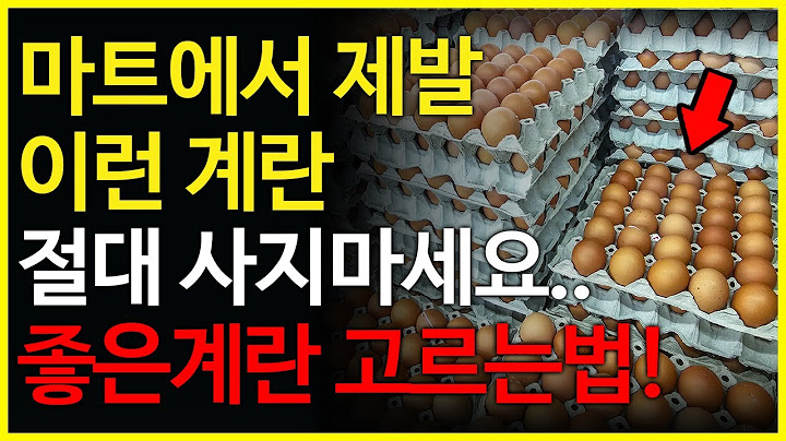 마트에서 이런 계란은 절대 함부로 사지마세요! 독을 먹는 겁니다...(좋은 계란 고르는법, 신선하게 보관 방법).