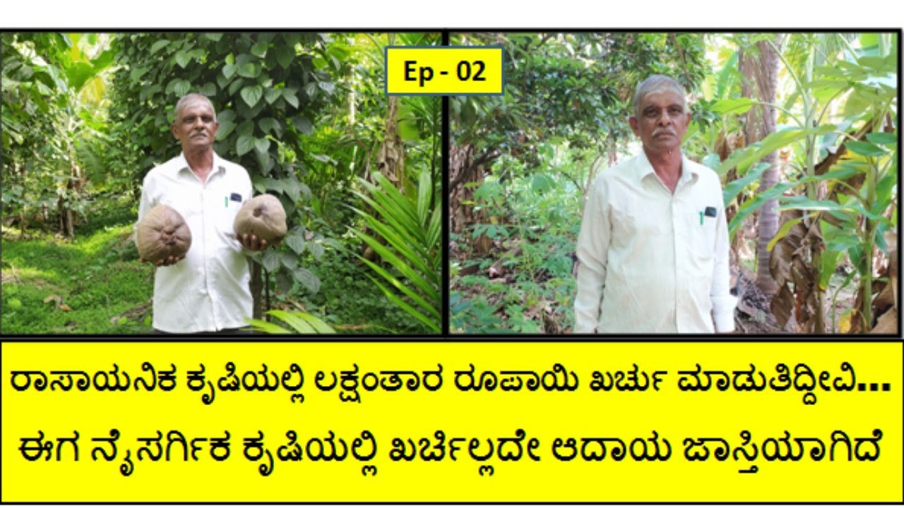 ನೈಸರ್ಗಿಕವಾಗಿ ಖರ್ಚಿಲ್ಲದೆ ಸಮಗ್ರ ಕೃಷಿ ಪದ್ಧತಿಯನ್ನು ಅಳವಡಿಸಿಕೊಂಡು ನೆಮ್ಮದಿ ಕಂಡುಕೊಂಡಿದ್ದೇನೆ