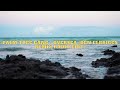 Palm Tree Gang - Oversea (Den Elbriggs Remix) Radio Edit | Drop Nation #deephouse #electronicmusic