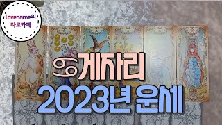 [타로/별자리운세] ♋게자리♋ 【2023년 운세】 2023년 1월~12월까지! 어떤일이 일어날까?  자산 운…