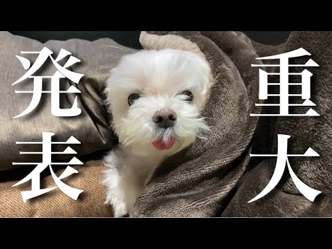 【ご報告】皆様に重大発表があります…！
