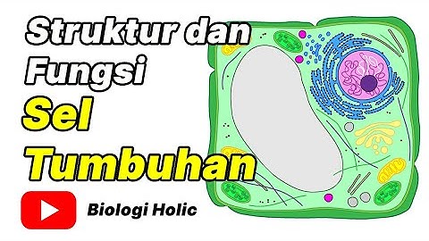 Bagian sel yang dimiliki oleh sel hewan dan juga sel tumbuhan adalah …