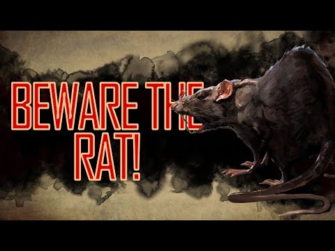 Video: Rats And Mice In Myths And Legends