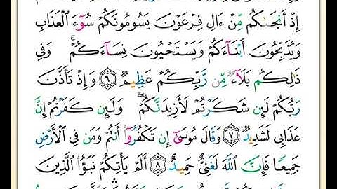 ختمة تلاوة لمصحف التجويد بصوت القارئ محمد حبش الصفحة رقم 256