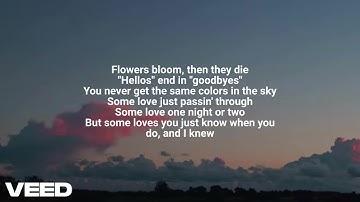 LANY – Last Forever (lyrics)