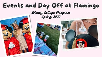 dcp graduation and flamingo crossings event vlog - day in my life on the disney college program 2022