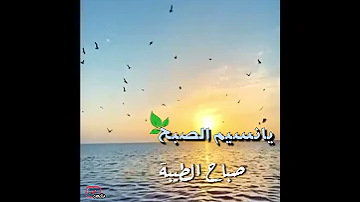يا نسيم الصبح حالات واتس آب رووعة للصباح جديد2020 