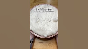 Signs your bulk fermentation is done! #Sourdough #SourdoughForBeginners ￼