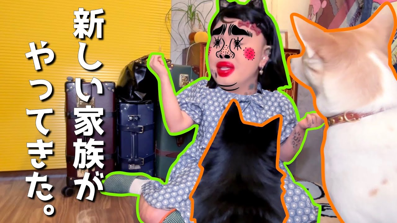 [JPN/ENG]新しい家族がやってきた。