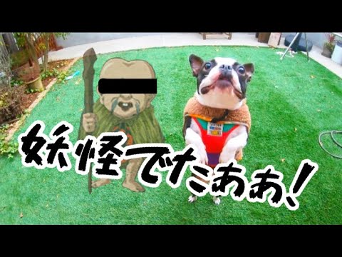 ゲゲゲの妖怪現る ぽんぽん隊の練習中にかわいい犬の妖怪現れた Youtube
