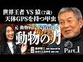 【Part.1】森井啓二 × はせくらみゆき ー 動物たちの驚くべき能力【対談】