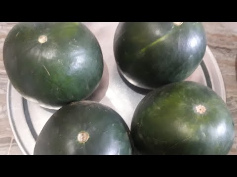 فيديو: كيفية تخزين البطيخ