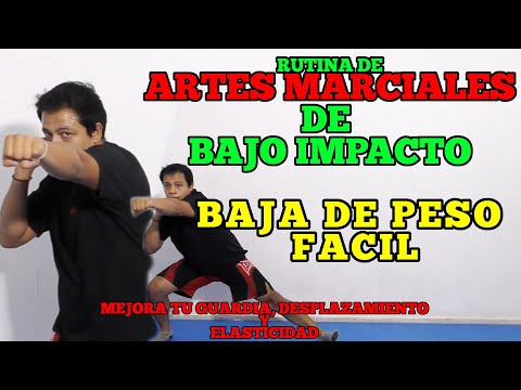 Ejercicio De Artes Marciales Para Mejorar Tu Salud Rutina 1