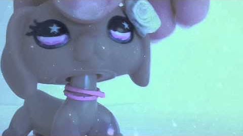 LPS :Not on drugs MEP part 7 and 15 for Hida lps