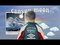 Canyon Moon by Harry Styles - Louis Tomlinson - Lyrics