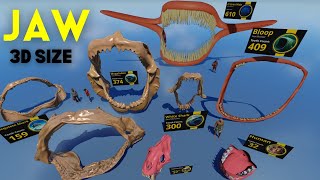 3D Animal Jaw Size Comparison and Teeth Count 2024 by Mr Data 3D Stats 2,361 views 1 month ago 3 minutes, 8 seconds