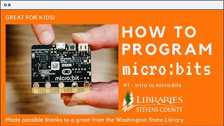 How to Program micro:bits - Fun and Easy!
