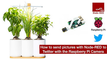 How to send pictures with Node RED to Twitter with the Raspberry Pi Camera