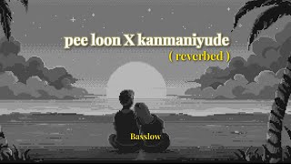 Pee loon X kanmaniyude kannan aayi vaa ( slowed reverb )