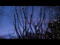 【528Hz・雨・森】雨の自然音と夜の森の虫の鳴き声にソルフェシオ周波数528Hzて睡眠、心身回復、読書に…雨か降る夜の森の中にいるような自然的音楽