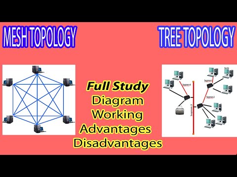Mesh Topology | Tree Topology - Advantages and Disadvantages in Urdu / Hindi By Taleeem 24