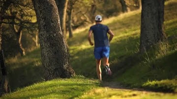 Triathlete Video Featuring Chris and Matt Lieto