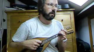 Video thumbnail of "Italian folk song: La Palumella (trad. from Naples), on Embergher mandolin"