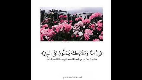 قران كريم بصوت احمد العجمي |حالات واتس اب