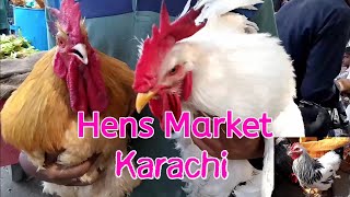 Hens market Karachi 2022