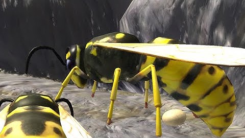 Wasp nest simulator game