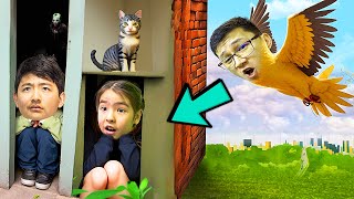 видео: Тығылыспақ!!! Мен құс болып іздедім картинка: Тығылыспақ!!! Мен құс болып іздедім