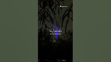#سورة_القصص | ونريد أن نمن على الذين استضعفوا في الأرض ونجعلهم أئمة ونجعلهم الوارثين | #قرآن #المصحف