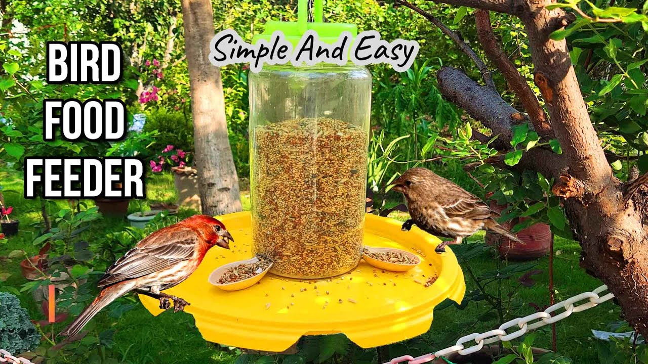 How To Make a Bird Feeder - Bird Feeder From Plastic Bottle - Homemade Bird Feeder - Birdy