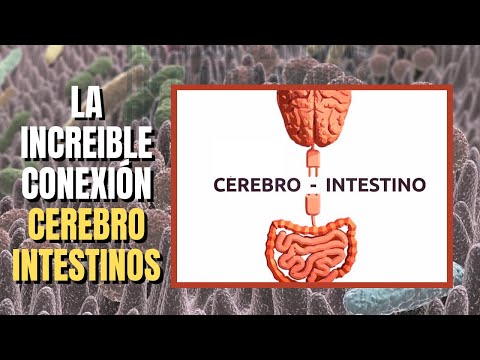 Video: ¿Cómo se falsifican masivamente los productos en las cadenas minoristas?