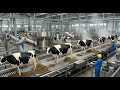 Inside the Cow Dung Power Factory: How Animal Waste Is Turned Into Electricity (Full Process)