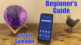 Cricket Splendor - Beginner's Guide screenshot 4