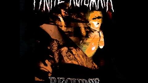 Finite Automata - Rot Inside - Beyond Therapy Records