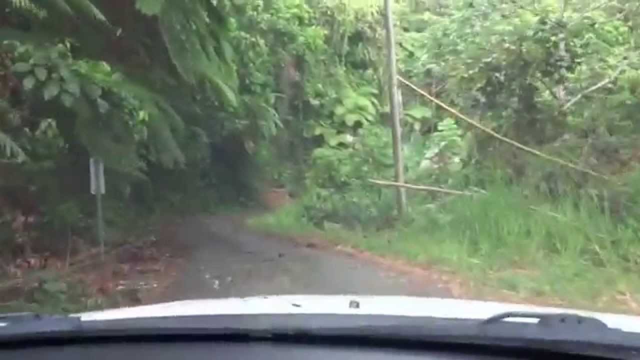 Road to Sandra Farms